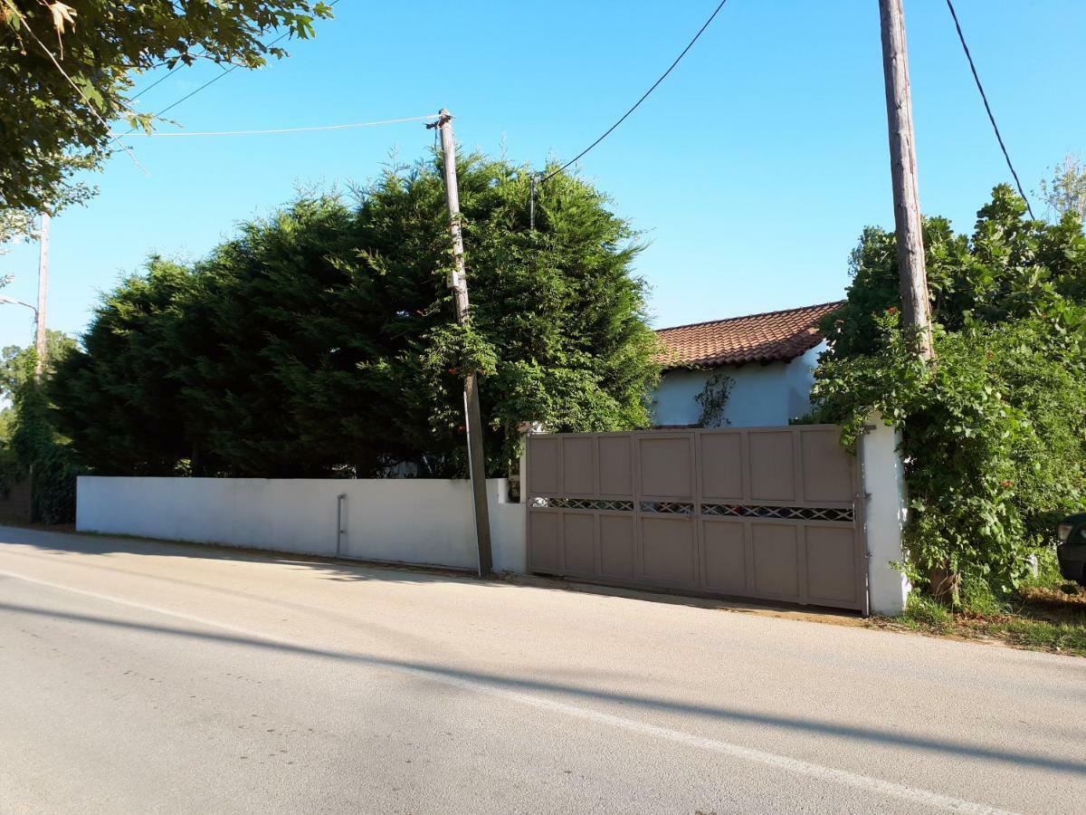 Ckiathi - Ckiaθi - Ps Rental Agia Paraskevi  Exterior foto